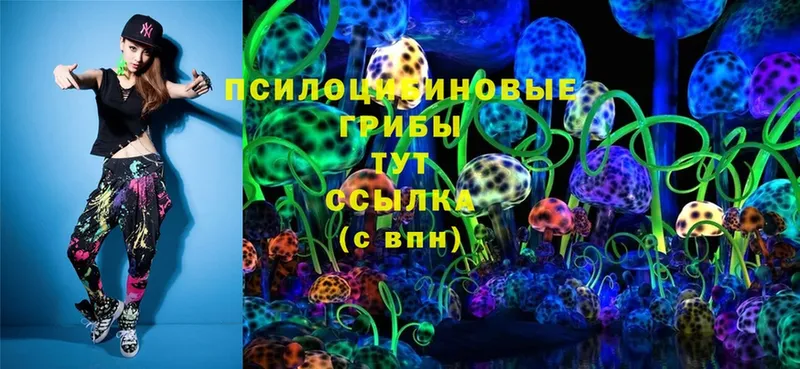 Галлюциногенные грибы Psilocybine cubensis  omg ТОР  Курск 