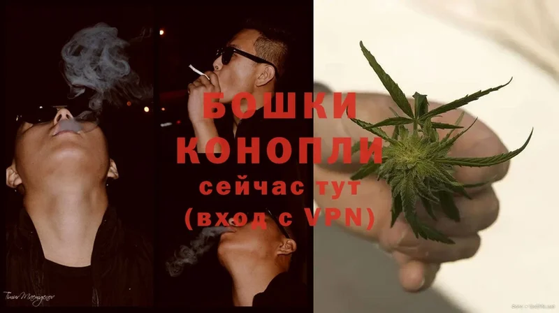 наркота  Курск  Марихуана OG Kush 